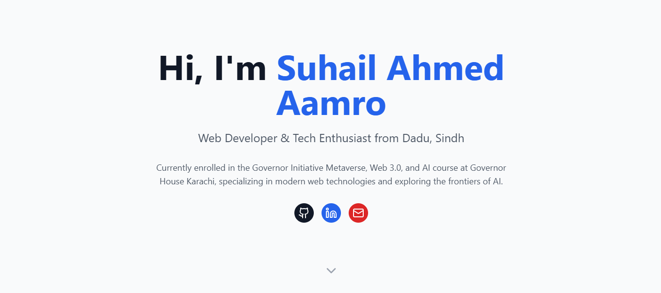 Portfolio Project